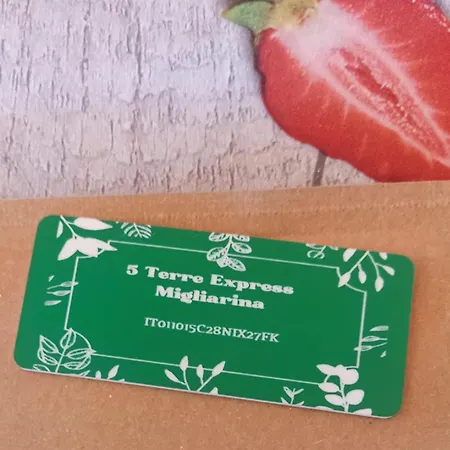 5 Terre Express Migliarina Апартаменти *